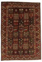 Bakhtiari - Garden