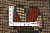 Gabbeh - Qashqai Persian Carpet 288x170 - Picture 4