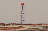 Bakhtiari - Garden Persian Carpet 291x164 - Picture 8