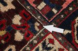 Bakhtiari - Garden Persian Carpet 304x213 - Picture 18