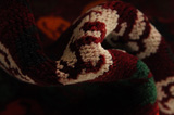 Qashqai Persian Carpet 271x165 - Picture 7